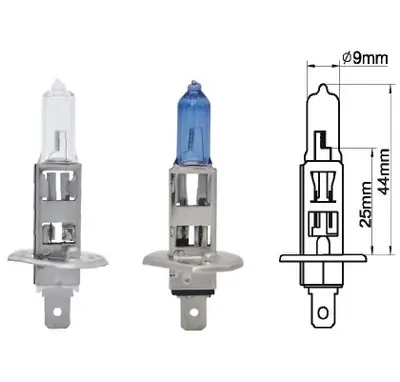 AMPUL [12V. H1 55W. ]