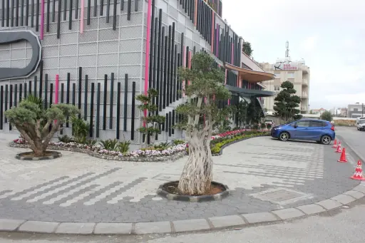 Altıgen Parke