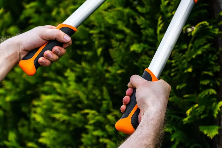 Teleskopik örs tipi budama makası 670 mm, 42 mm'ye kadar kesim çapı, baskı gücünü %40 artıran dişli
