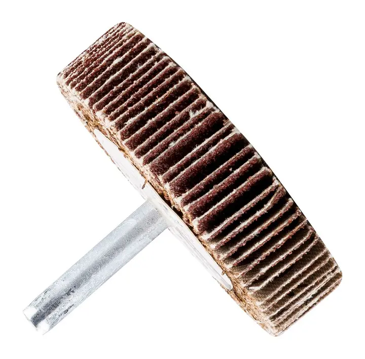 Saplı flap disk 60 x 15 x 6 mm, P