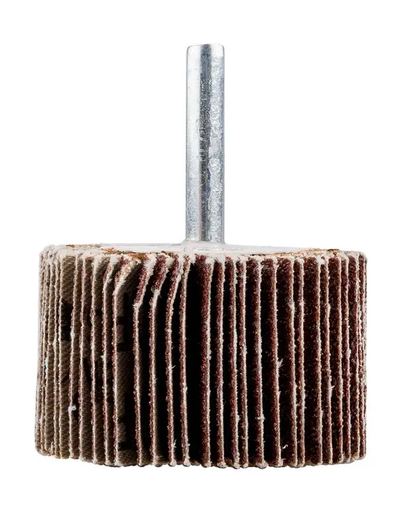 Saplı flap disk 50 x 30 x 6 mm, P