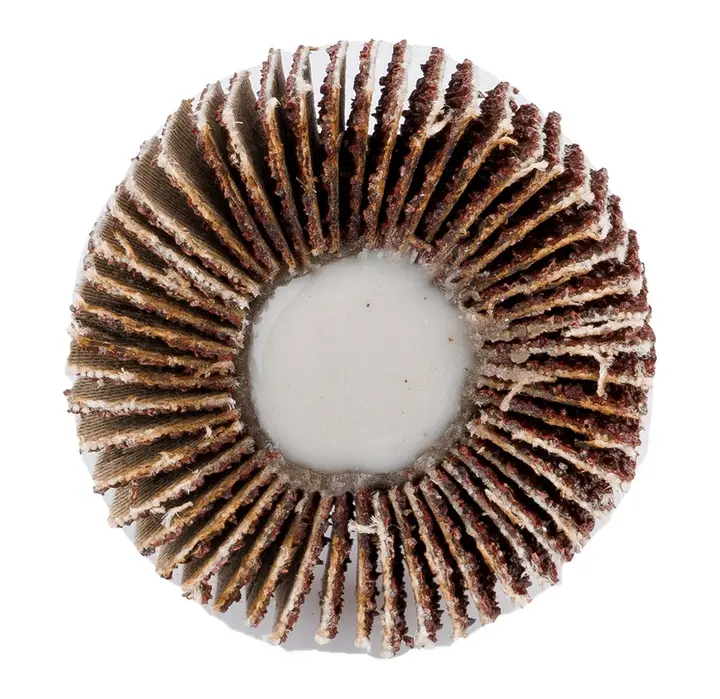 Saplı flap disk 30 x 10 x 6 mm, P40