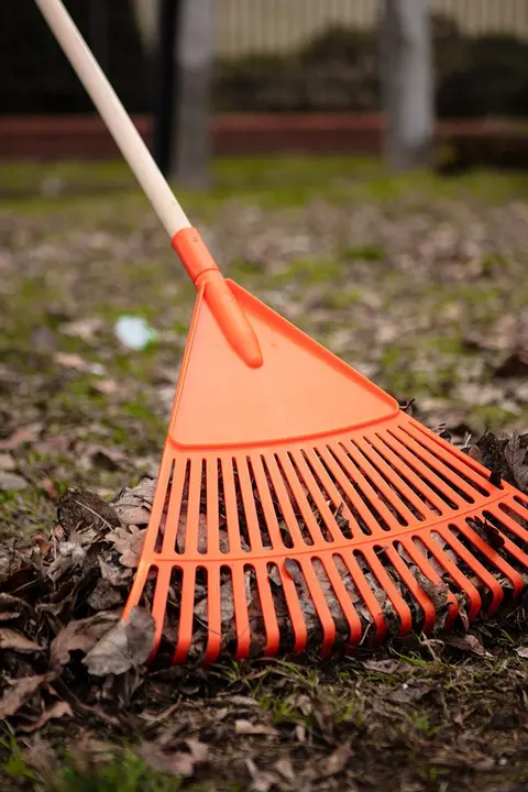 Büyük yaprak tırmığı, plastik
