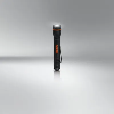 LEDinspect TORCH 250 ESSENTIAL